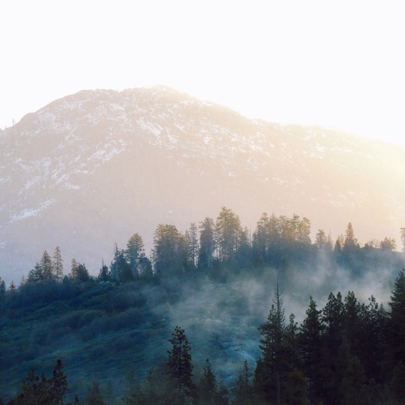 Meet your Posher, Victoria - Picture 2 of 8